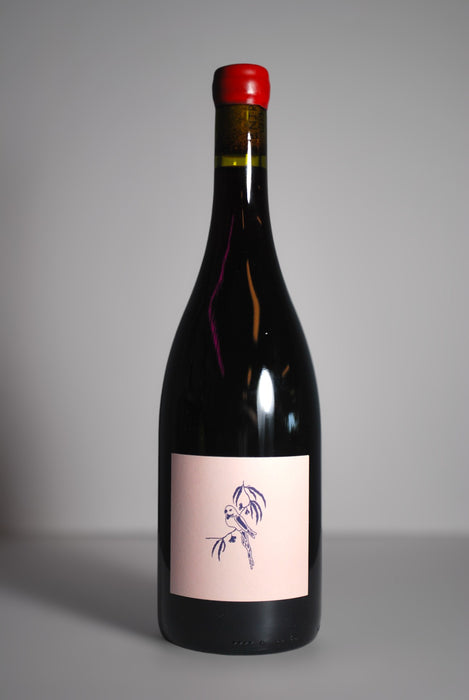 Entropy Syrah 2023